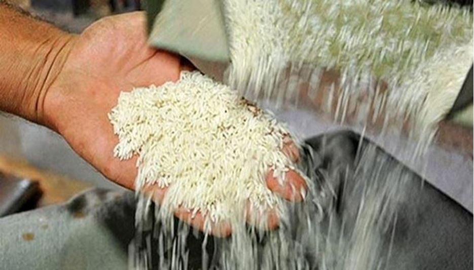 قیمت برنج کیلویی تا 8 هزارتومان کاهش می یابد