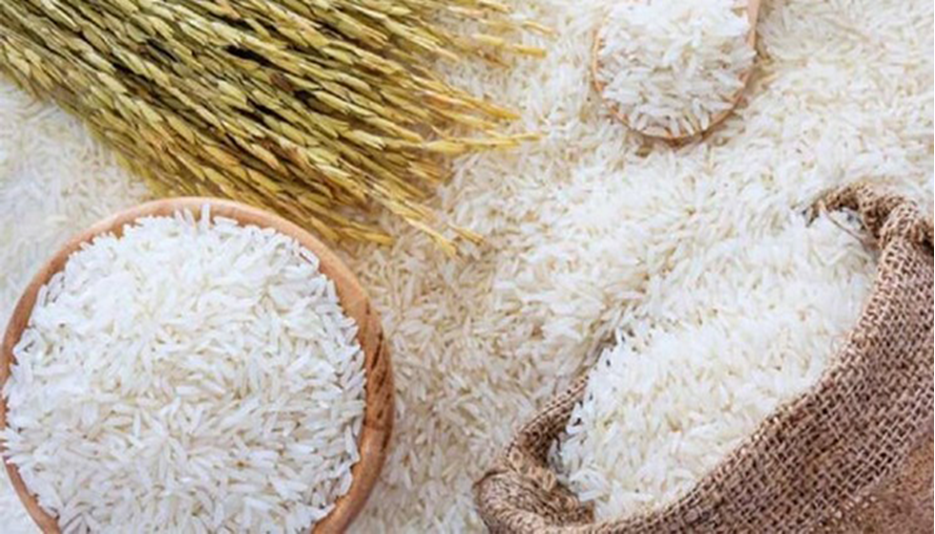 «واسطه‌گران» عامل‌ افزایش مداوم قیمت برنج