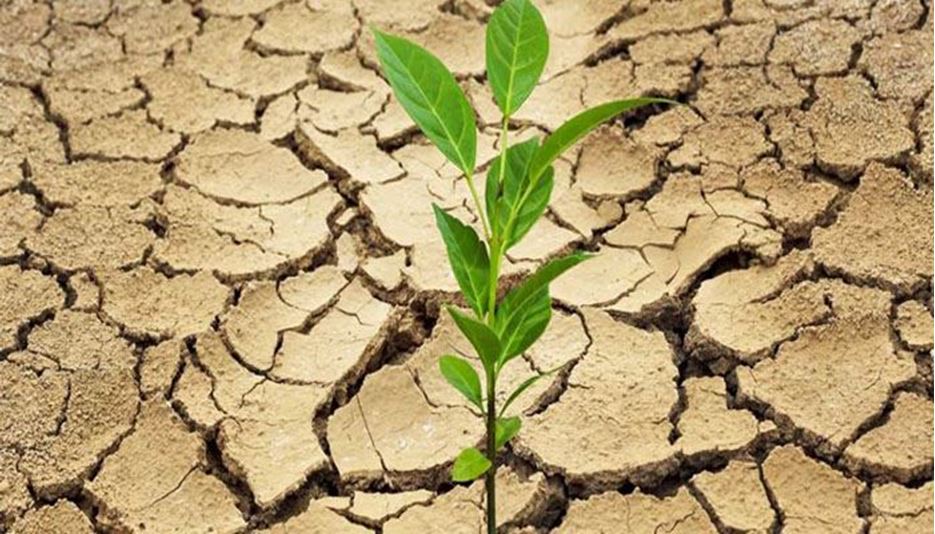 تاثیر‌ خشکسالی بر نرخ بیکاری فصل بهار