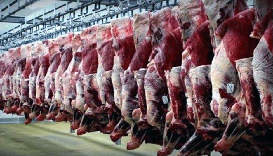 ریزش شدید قیمت لاشه گوسفندی