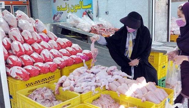 ماجرای مرغ‌ های آلوده به مواد رادیو آکتیو